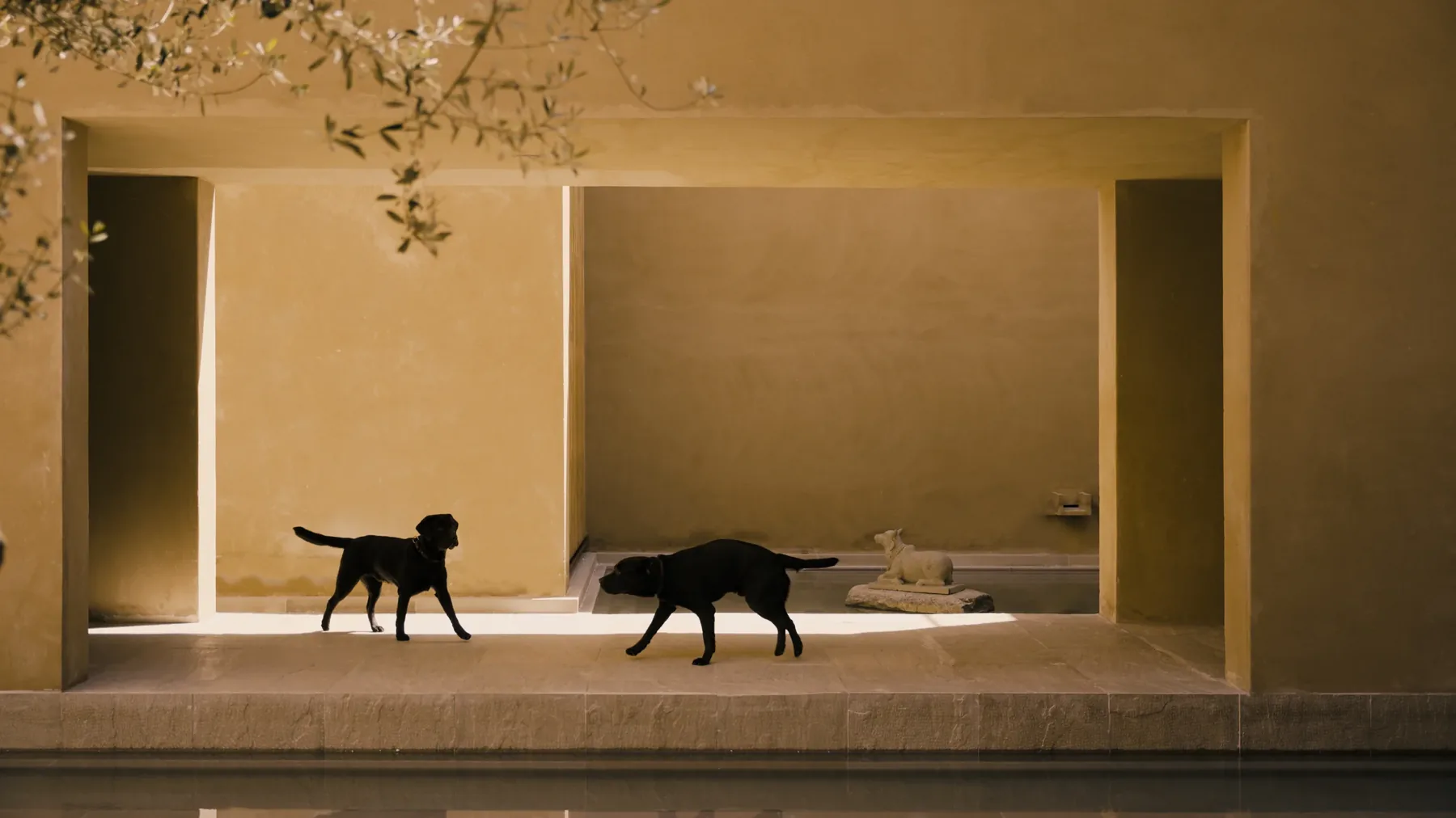 Two dogs on the stone ledge beneath a rectangular opening, olive branches overhead